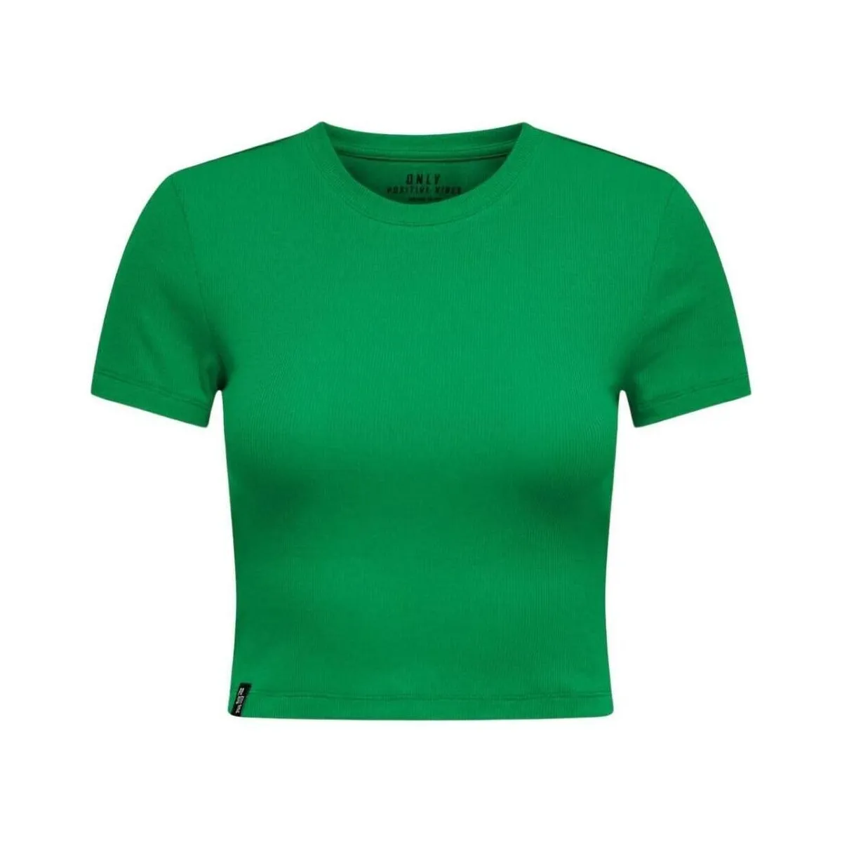 15311891-Green Bee