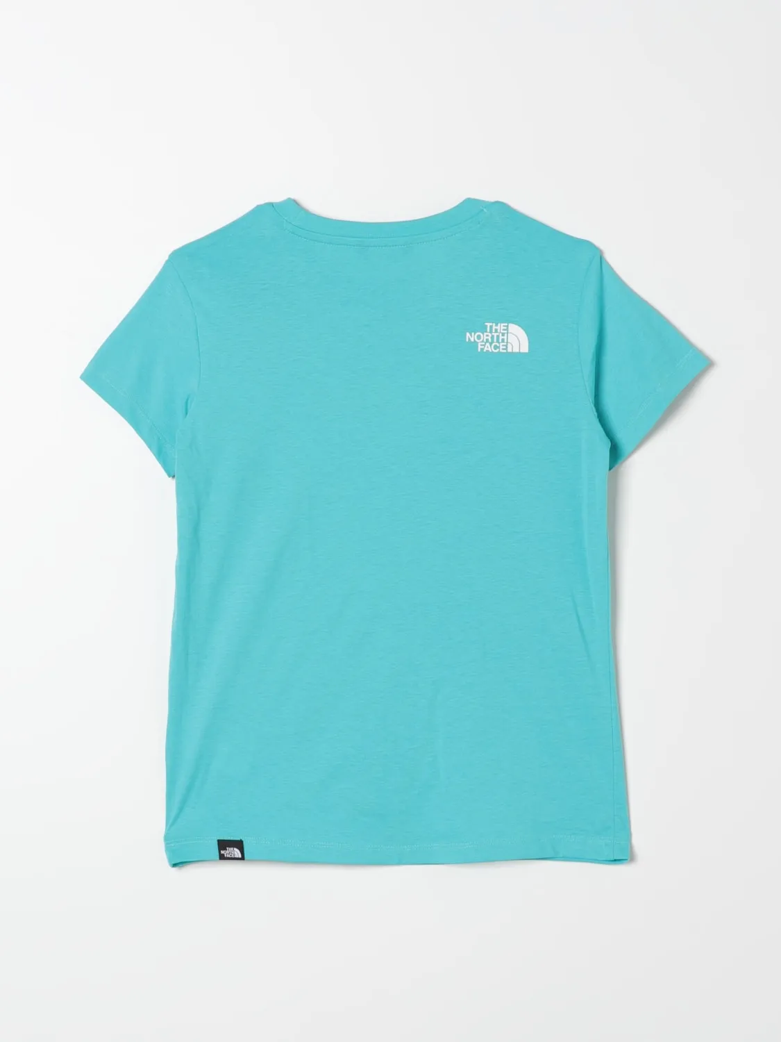 Camiseta niños The North Face
